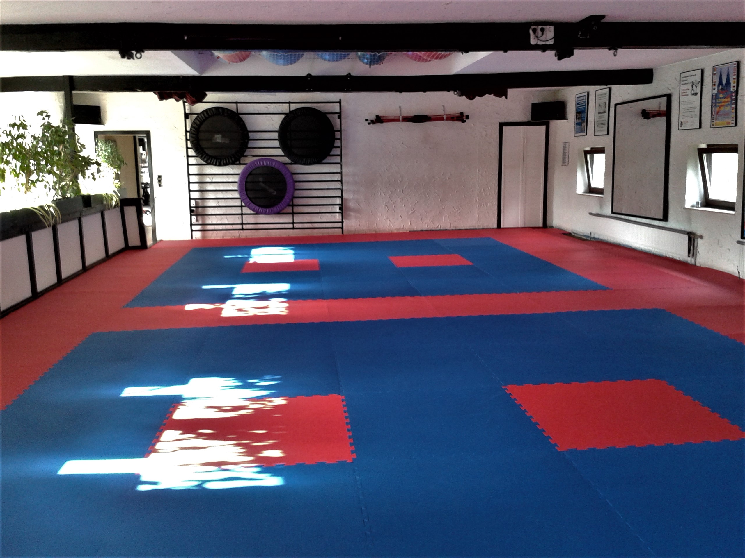 Trainingsfläche für Kampfsport in Mülheim bei Tong-Il Mülheim e.V.